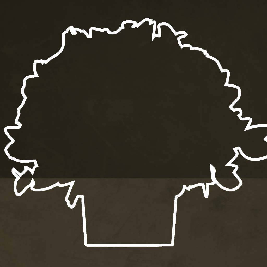 bouquet-grande-taille