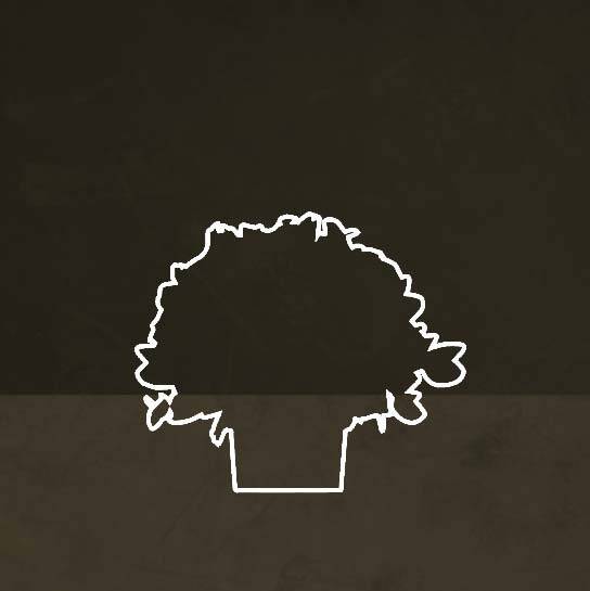 bouquet-taille-petite